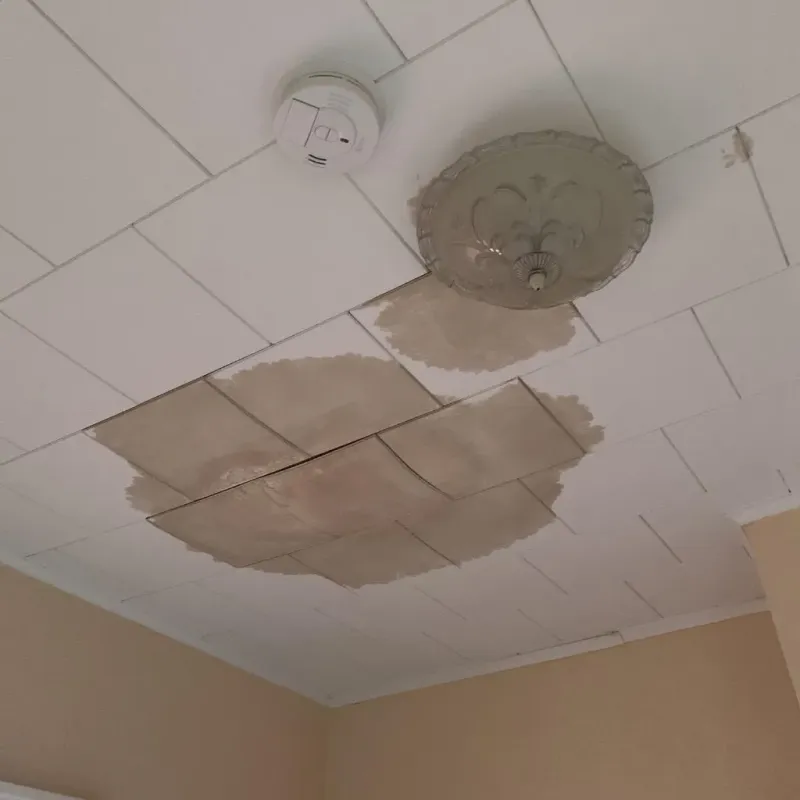 Ceiling Water Damage Repair in Catahoula, LA