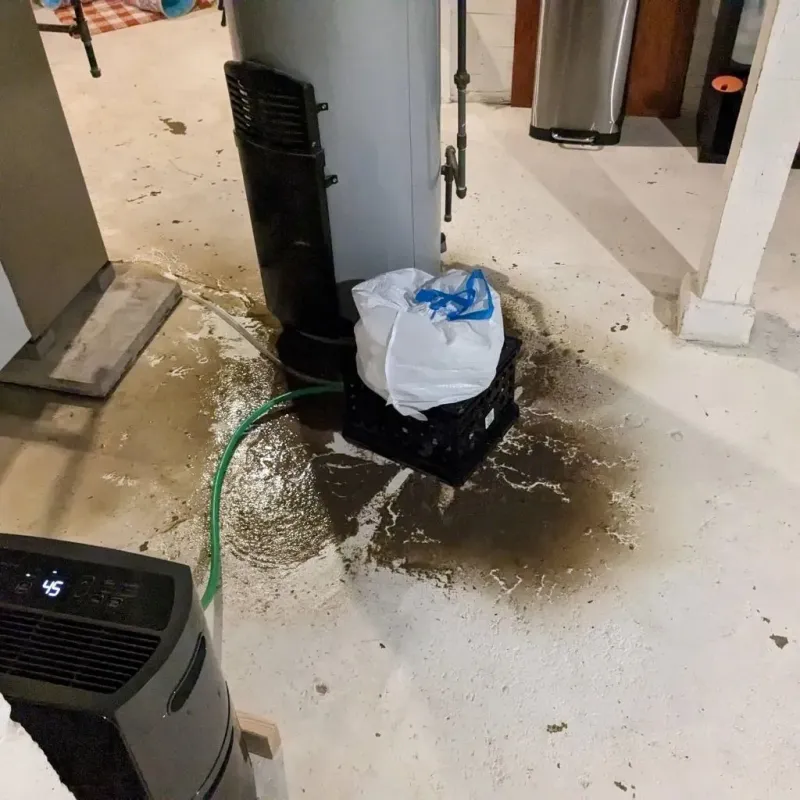 Sewage Backup Cleanup Service in Catahoula, LA